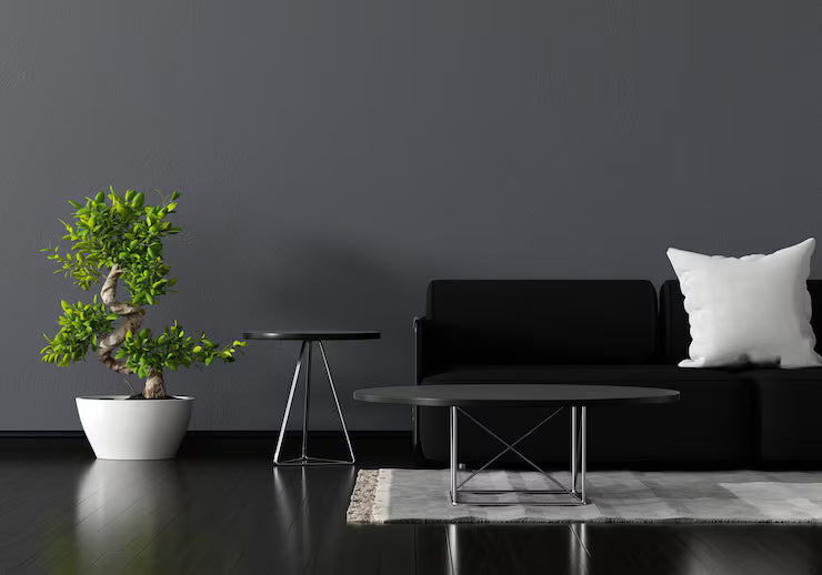 Home Decor