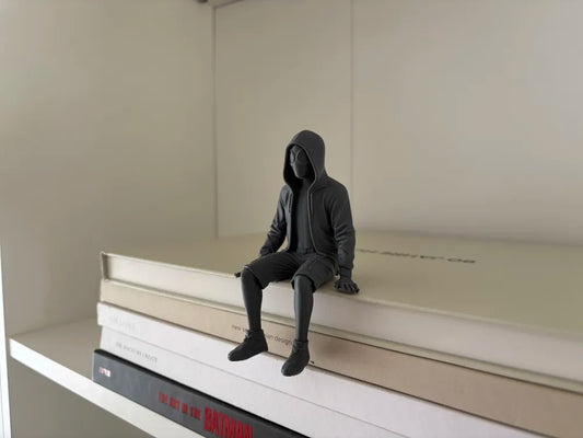 Hoodie Sitting Shelf | Spider-Verse