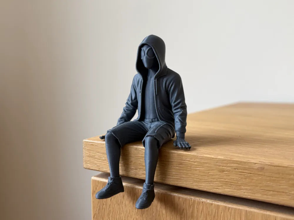 Hoodie Sitting Shelf | Spider-Verse