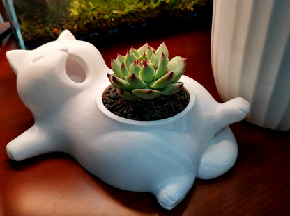 Cute Yawning Cat Succulent Planter Pot