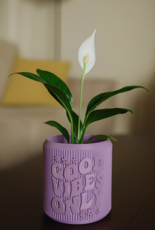 "Good Vibes Only" Planter